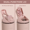 HydroJug Ease2o 14oz Kids Water Bottle with Straw & Chug Lid, Ladybyg(Dusty Rose)