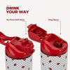 HydroJug Ease2o 14oz Kids Water Bottle with Straw & Chug Lid, Ladybyg(Ladybug)