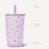 HydroJug Everyday Tumbler 14 oz, Ceramic-Lined Straw Cup, Football(Flutter)