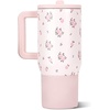 HydroJug Traveler 20oz Kids Insulated Tumbler with Handle, Ladybug(Wildrose)