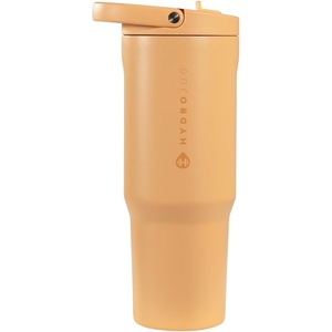 HydroJug Sport 20 oz Insulated Stainless Steel Water Bottle, Ladybug(Marigold)