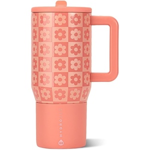 HydroJug Traveler 20oz Kids Insulated Tumbler with Handle, Ladybug(Daisy Checkers)