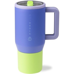 HydroJug Traveler 20oz Kids Insulated Tumbler with Handle, Ladybug(Lime Rickey)
