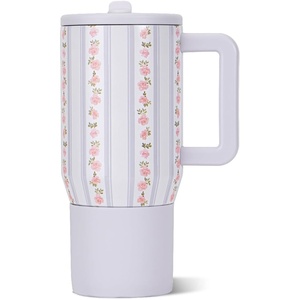 HydroJug Traveler 20oz Kids Insulated Tumbler with Handle, Ladybug(Primrose)